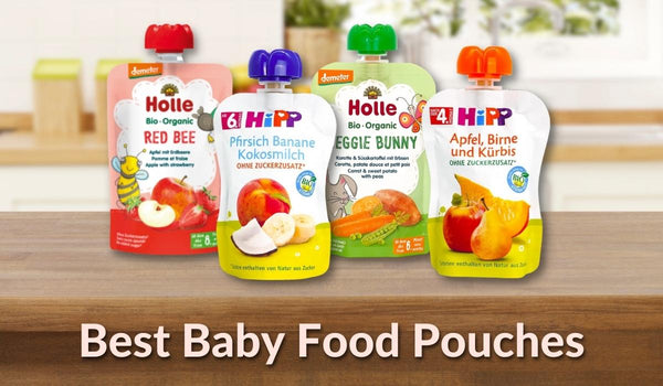 6 Best Reusable Baby Food Pouches 2023