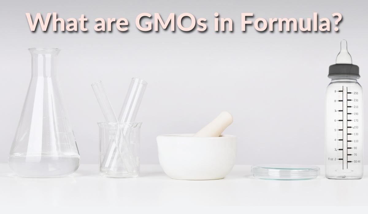 What is GMO in Formula Explained!