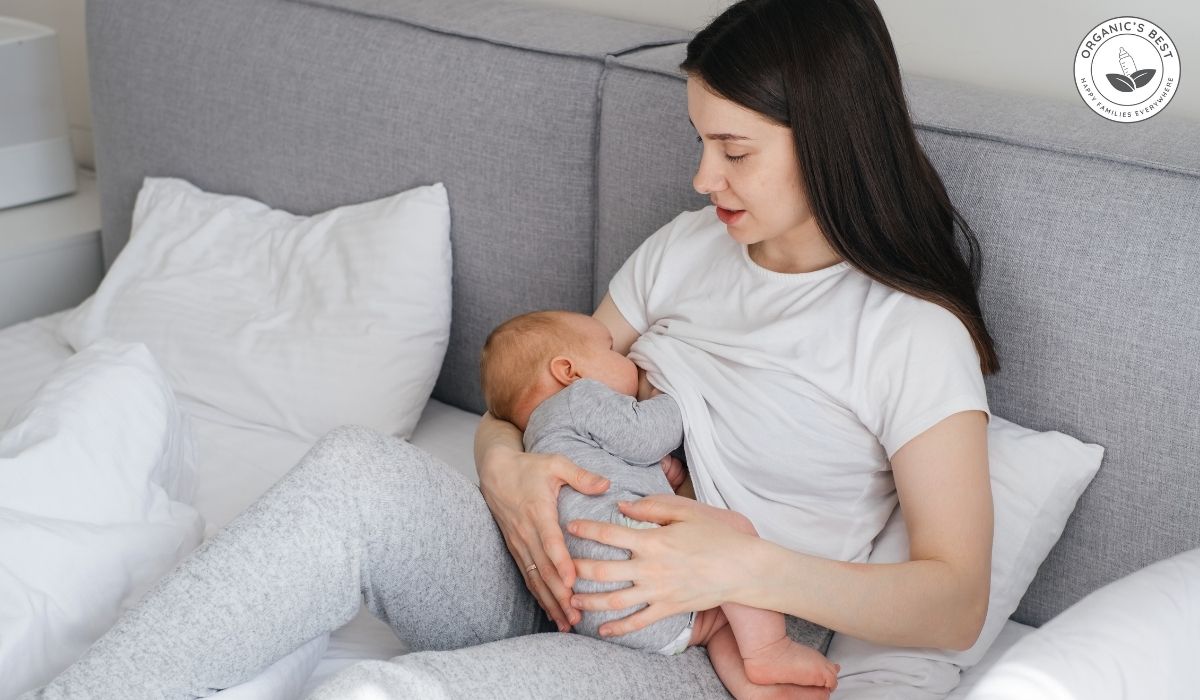 Top Rated Formula for Breastfed Babies 2026 Guide