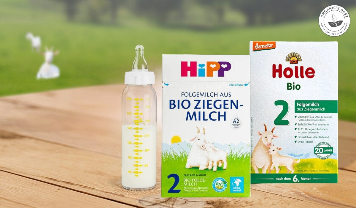 HiPP vs Holle Goat Milk Formula