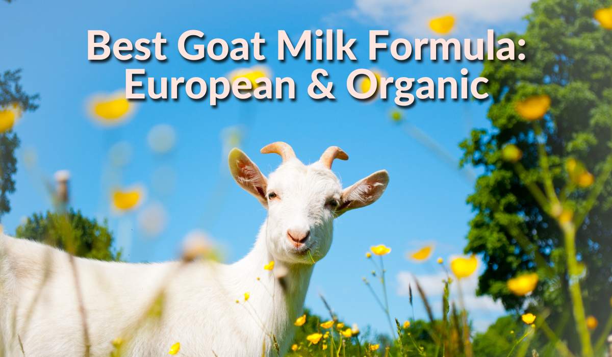 Best Goat Milk Formula for Babies: European & Organic