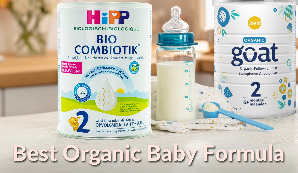 Best Organic Baby Formula 2024