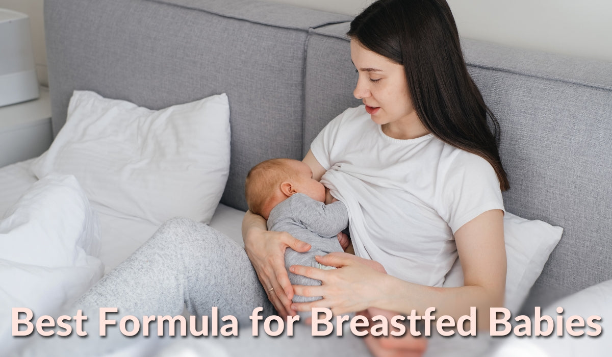 Best Formula for Breastfed Babies 2024 Guide