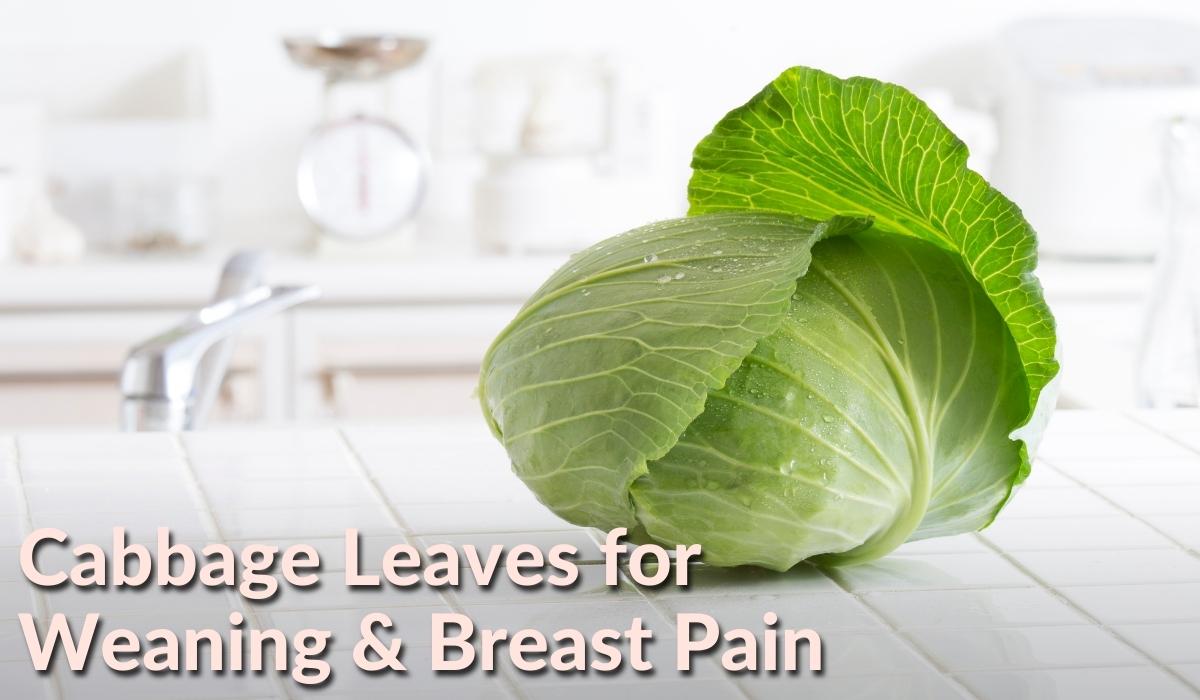 A Natural Remedy: Using Cabbage Leaves during Breastfeeding and
