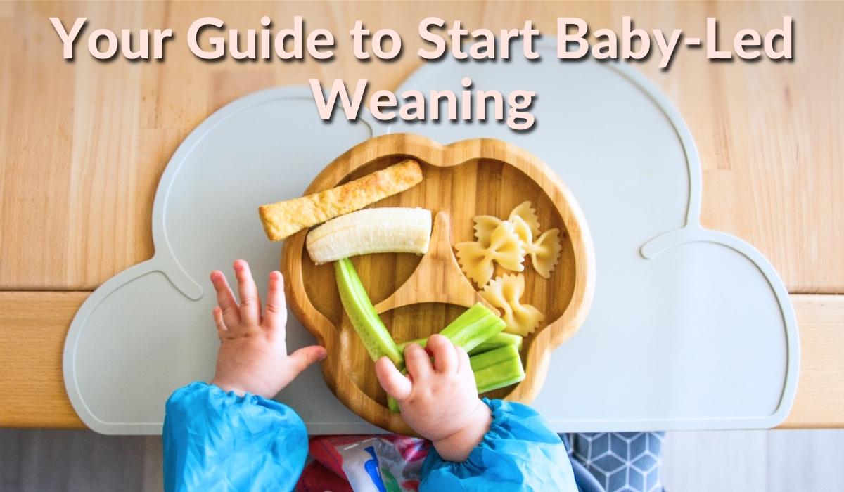 Baby Led Weaning Essentials Kit - New transitions Baby to Independent Eating