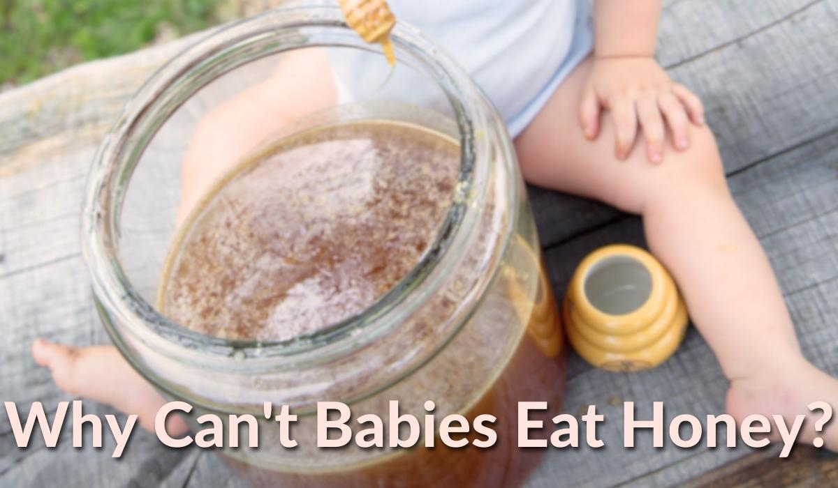 Why Can't Babies Have Honey