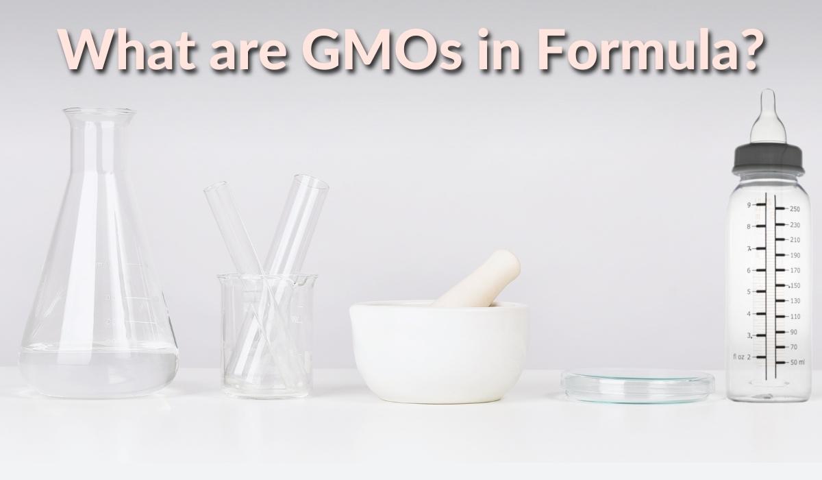 what is GMO in formula