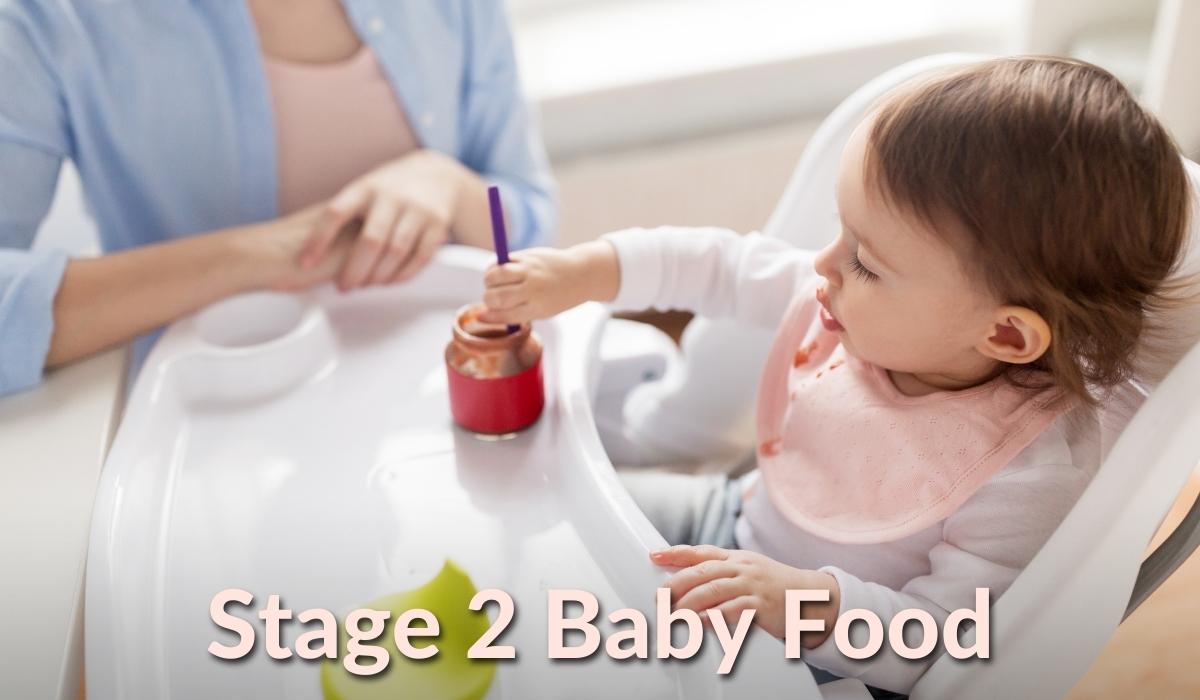 Stage 2 Baby Food: Best Combinations