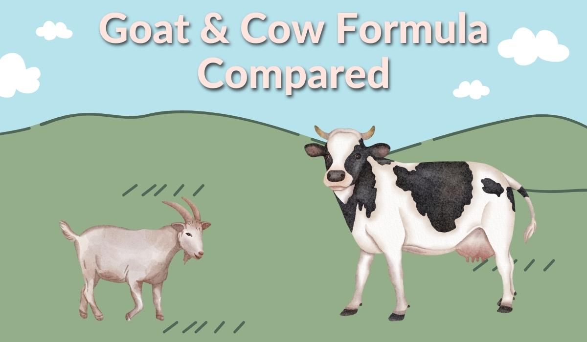 Goat & Cow Milk Formula: A Detailed Guide of all the Differences