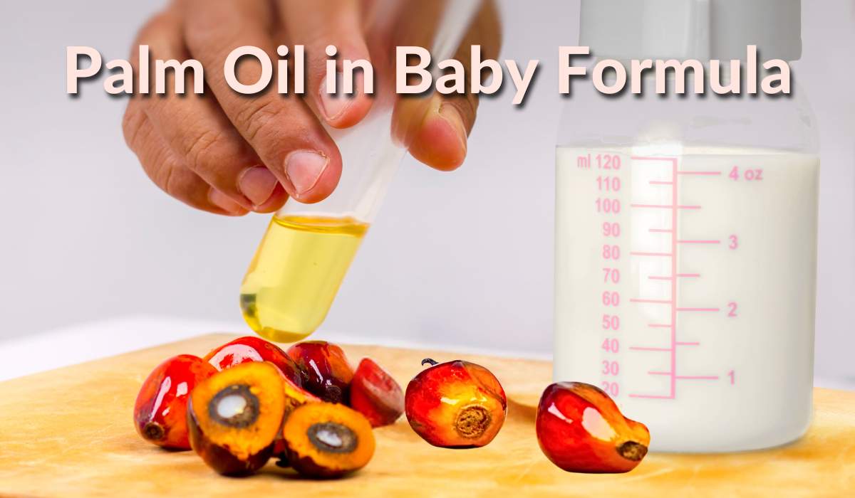 palm oil in baby formula