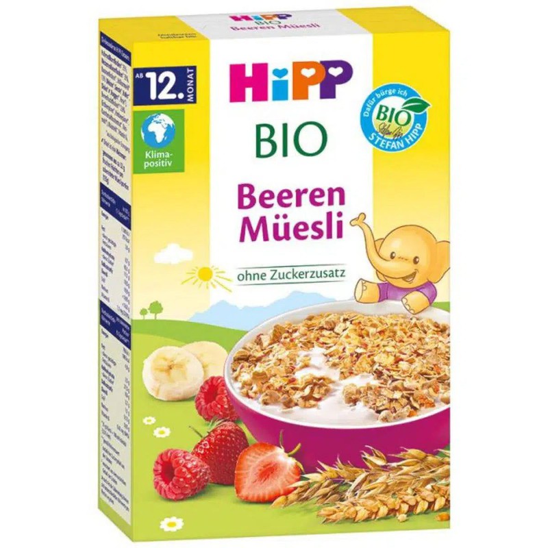 HIPP HIPPIS FRUIT MOUSSE FOR BABY - BIG CHOICE - 100G - 100% BIO